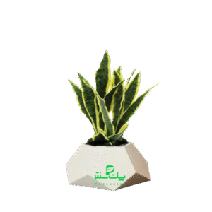 گلدان فایبرگلاس مدل Pc 249